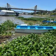 Lilas paralizan la pesca en el río Ozama: pescadores denuncian abandono