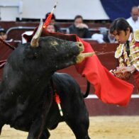Activistas piden al papa León XIV que ponga fin a las corridas de toros