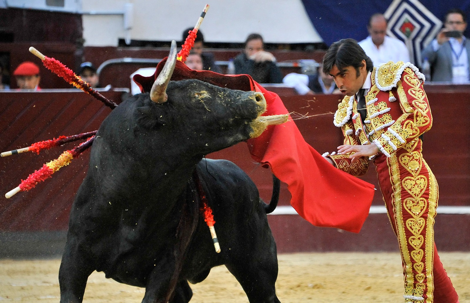 Activistas piden al papa León XIV que ponga fin a las corridas de toros