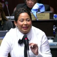 Diputada por SDO apoya iniciativa para modificar Ley 176-07