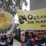 Greenpeace celebra la ratificación de México del de Tratado Global de Océanos