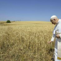 El papa aprueba decretos para beatificar 124 andaluces asesinados en la Guerra civil