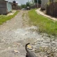 Residentes de Sabana Grande de Boyá claman por construcción de calles, aceras y contenes