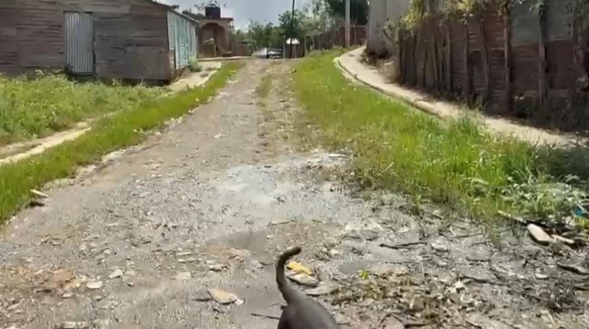 Residentes de Sabana Grande de Boyá claman por construcción de calles, aceras y contenes