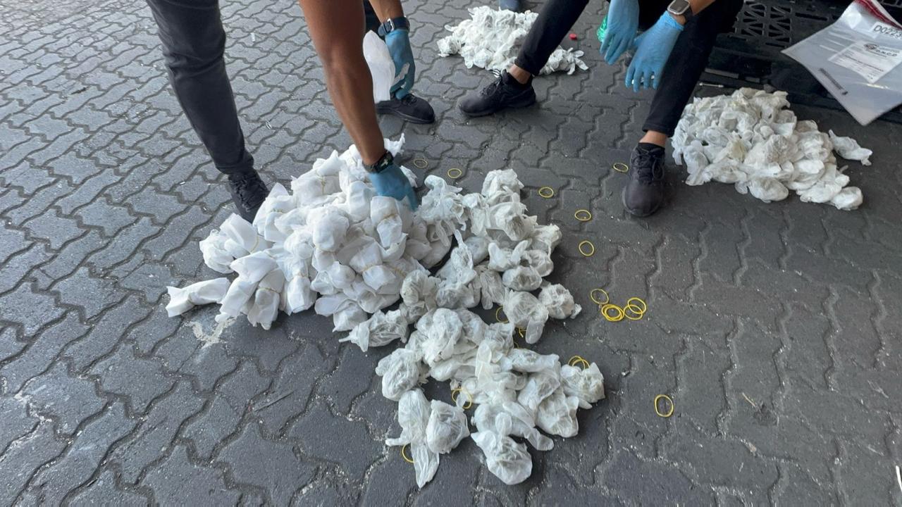 Puerto Haina: DNCD incauta en pañales más de 700 guantes quirúrgicos llenos de marihuana