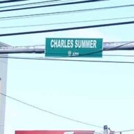 ¿Charles Summer o Charles Sumner?