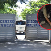 Videos revelan condiciones inhumanas en las que se encontraba extranjera fallecida en el Vacacional de Haina