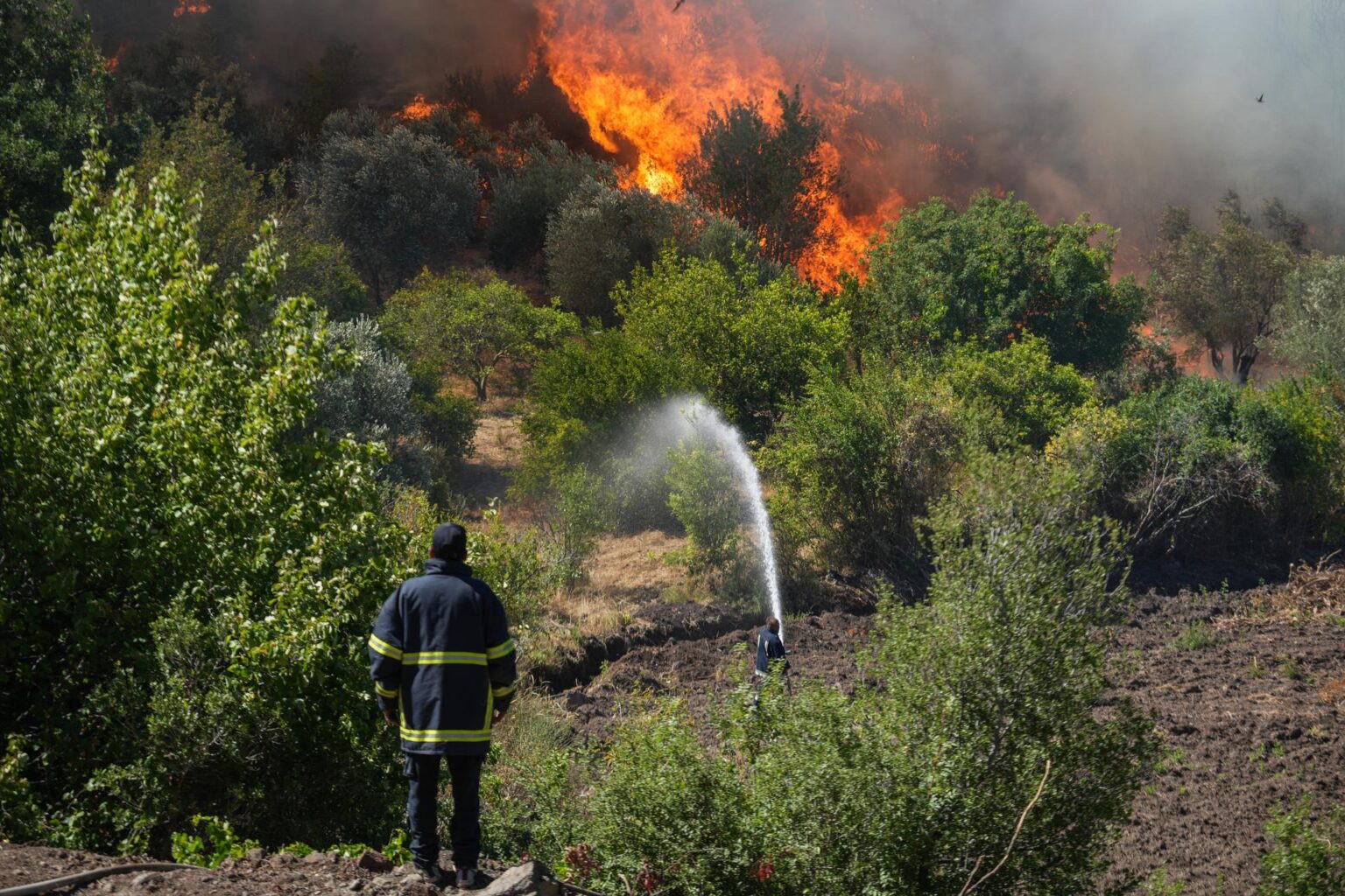 El incendio Madre, el mayor del año en California, supera las 32.000 hectáreas