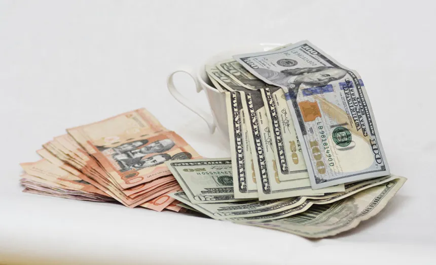 Dólares estadounidenses y pesos dominicanos.