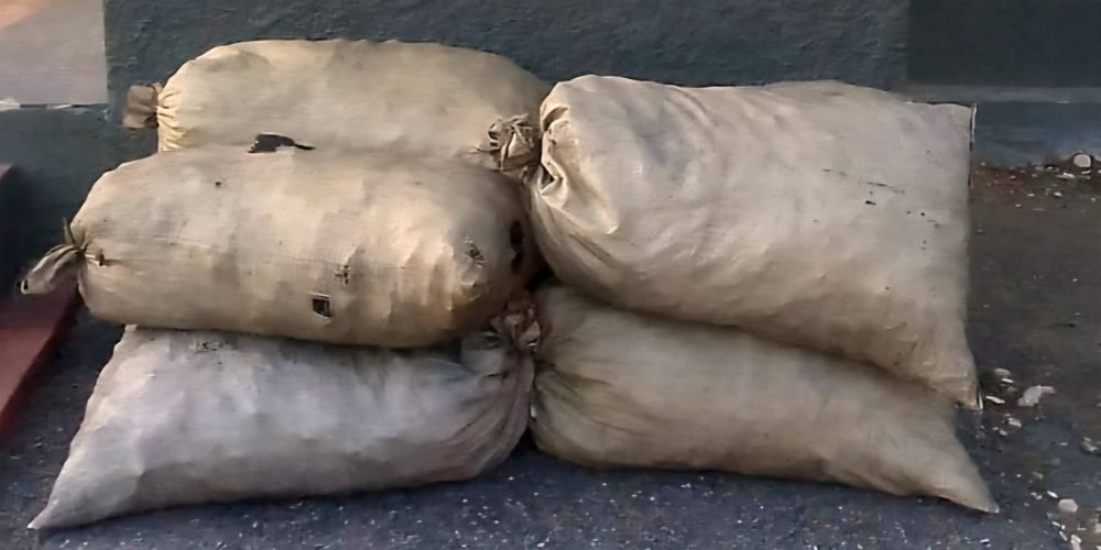 Ocupan sacos de carbón vegetal que eran transportados en animales en Elías Piña