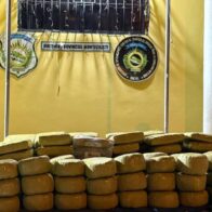 DNCD confisca cargamento de más de 1, 300 libras de presunta marihuana en Montecristi