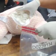Inposdom: DNCD velones y otro peluche con fibras de cocaína