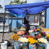 Todo listo para el Día de los Padres; cementerios se preparan para recibir visitantes