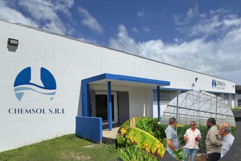 Empresa puertorriqueña CHEMSOL lanza en RD producto 100% natural que elimina la Sigatoka Negra
