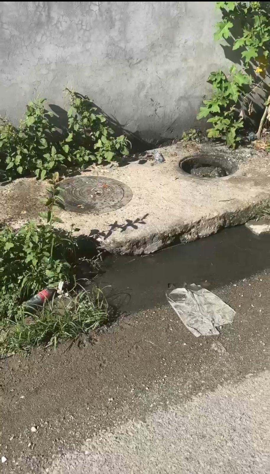 Denuncian deterioro en calles y aceras en Los Frailes I