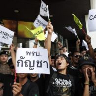 Vendedores y granjeros protestan en Bangkok ante amenaza de volver a penalizar el cannabis
