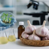 El IIBI y la Universidad ISA impulsan el ajo dominicano con perfil científico y potencial exportador