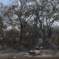Continúa la ola de incendios forestales en Europa y persisten las temperaturas extremas