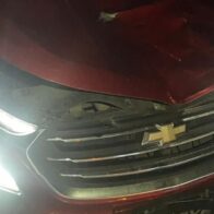 Las Galeras exige acción ante accidentes provocados por animales sueltos y falta de iluminación vial