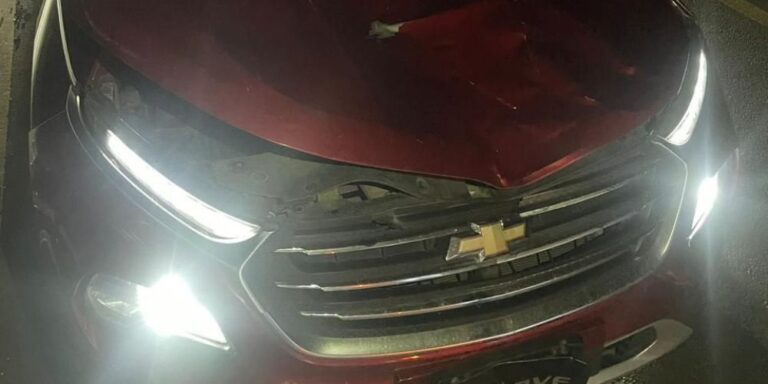 Las Galeras exige acción ante accidentes provocados por animales sueltos y falta de iluminación vial