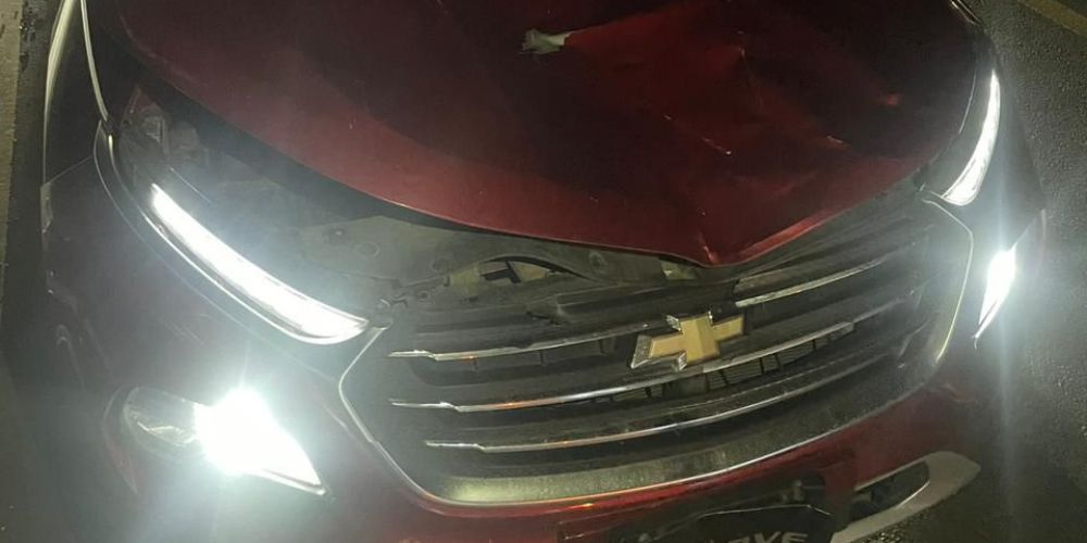 Las Galeras exige acción ante accidentes provocados por animales sueltos y falta de iluminación vial