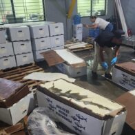 DNCD confisca en Aeropuerto del Cibao 58 kilogramos de cocaína