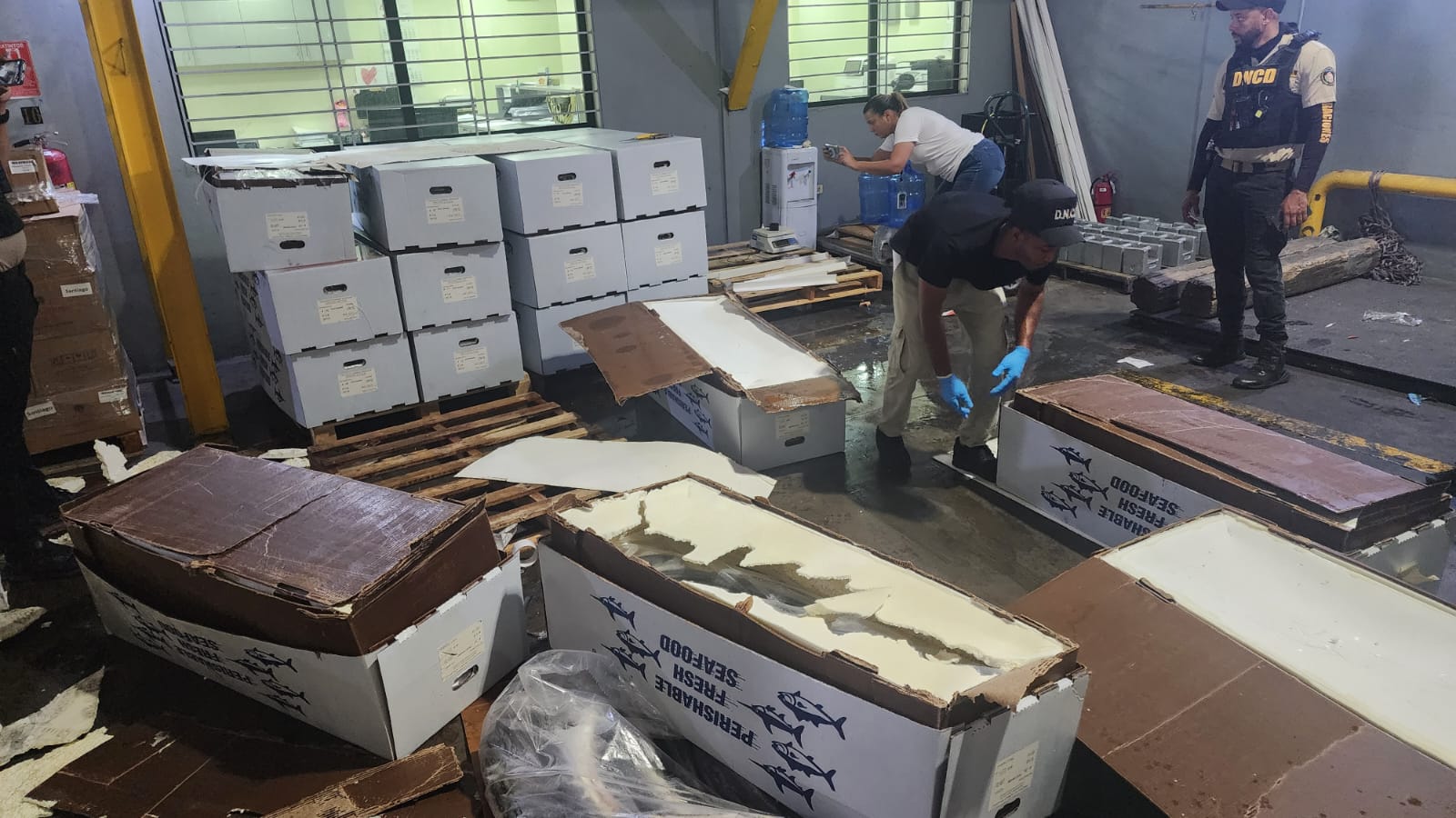 DNCD confisca en Aeropuerto del Cibao 58 kilogramos de cocaína