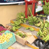 Cientos de personas se dan cita en la Feria Agropecuaria y Ecoturística 2025 en Azua