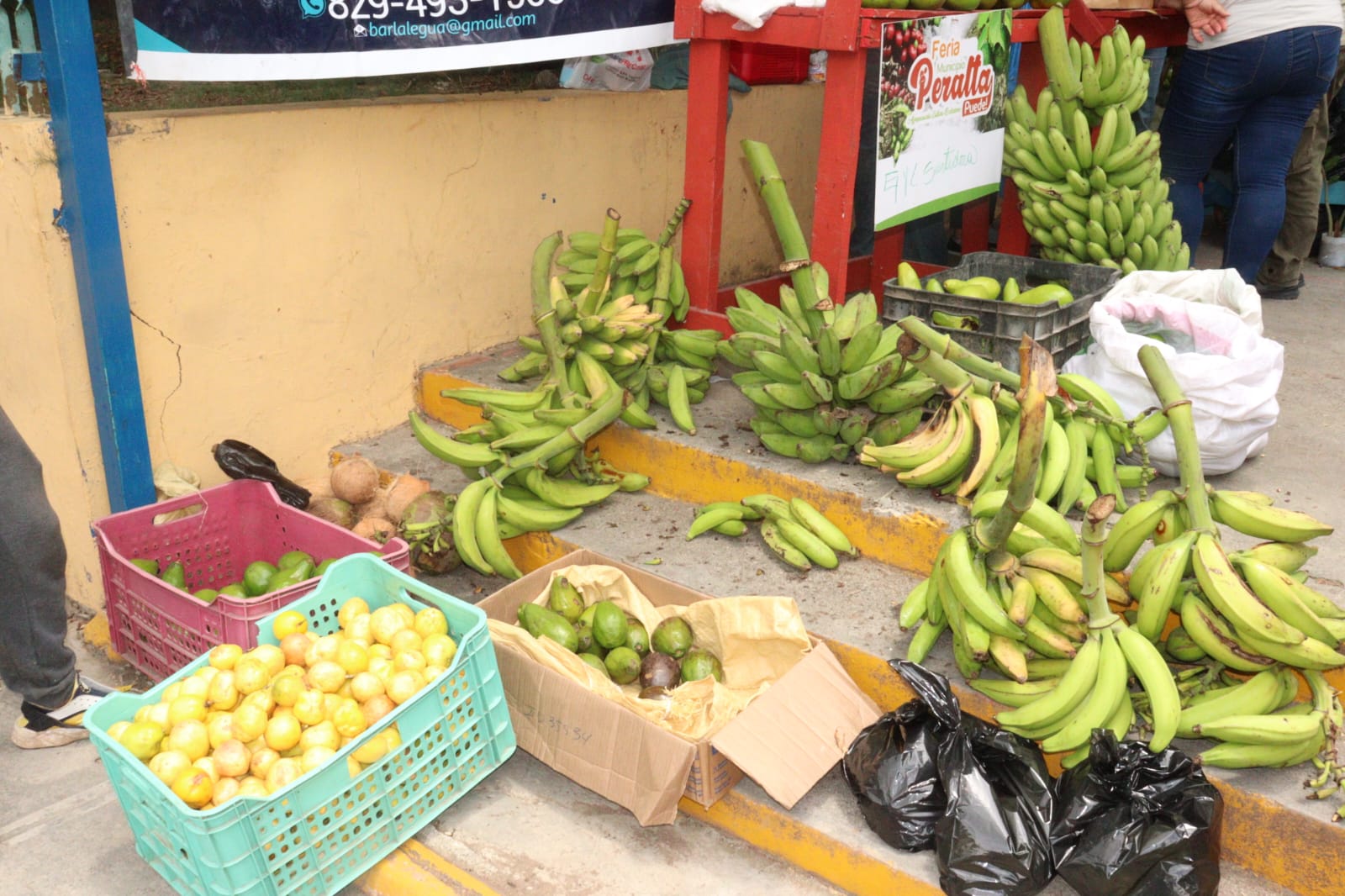 Cientos de personas se dan cita en la Feria Agropecuaria y Ecoturística 2025 en Azua