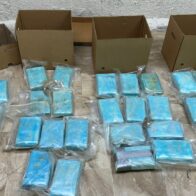 DNCD frustra envío de 30 paquetes presumiblemente cocaína a Alemania