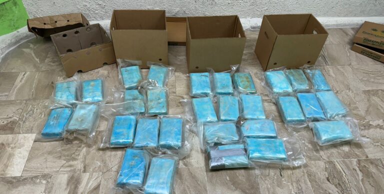 DNCD frustra envío de 30 paquetes presumiblemente cocaína a Alemania
