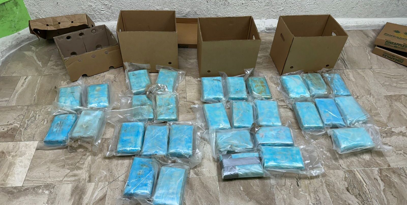 DNCD frustra envío de 30 paquetes presumiblemente cocaína a Alemania