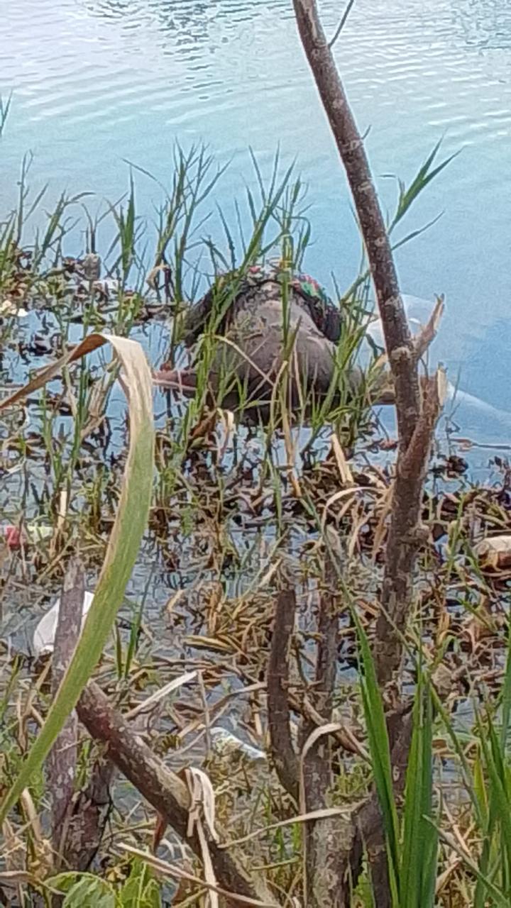 Encuentran cuerpo en estado de descomposición en río de Nagua