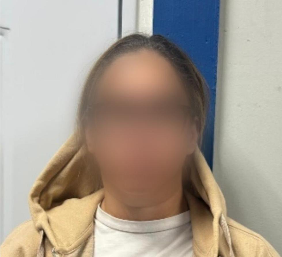 Apresan mujer acusada de estafar a comerciante con falsa inversión en servicios digitales en Santiago