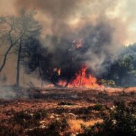 Varios incendios se declaran este martes en Grecia y se propagan por el fuerte viento