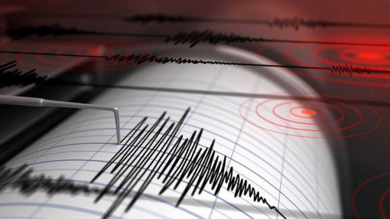 Temblor magnitud 4.8 estremece el Este del país