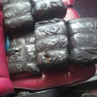 Autoridades decomisan ocho pacas de marihuana en operativo conjunto en Azua