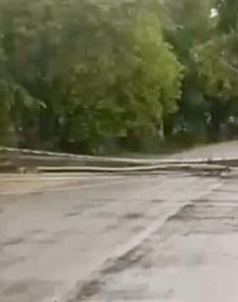 Fuertes vientos y lluvias provocan caída de árbol en carretera Salcedo–Tenares