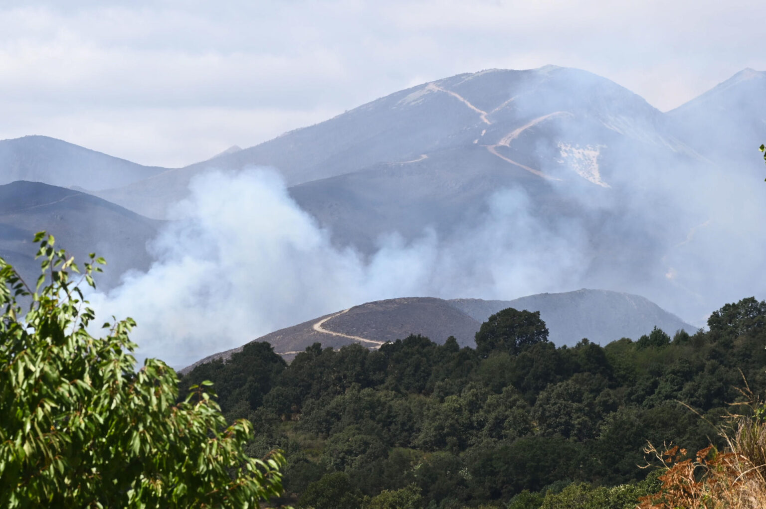 Los incendios están debilitando el sumidero natural de carbono en Europa, según un informe