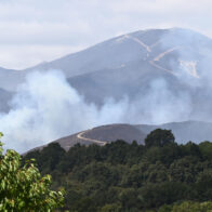 Los incendios están debilitando el sumidero natural de carbono en Europa, según un informe