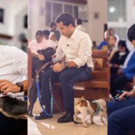Omar Fernández impulsa reforma para endurecer sanciones contra el maltrato animal