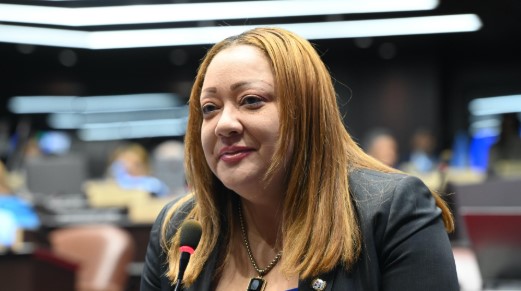 Incidente entre diputada Fiordaliza Estévez y miembro de la seguridad presidencial