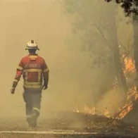 254 bomberos y 11 medios aéreos combaten fuego en la Serra da Estrela en Portugal