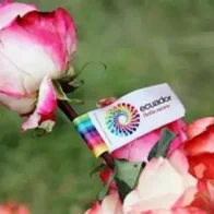 Ecuador envía un millón de rosas a China en solo tres días