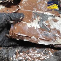 Guardia Civil desarticula red internacional de narcotráfico vinculada a República Dominicana
