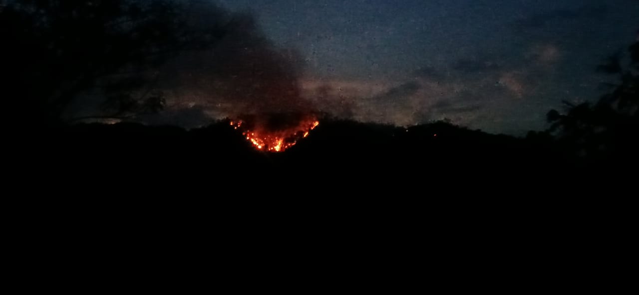 Fuego forestal en Jánico arrasa la sierra desde hace seis días