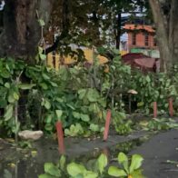 Fuerte granizada sorprende a comunidades de Santiago y causa daños en viviendas, tendido eléctrico y servicios de salud