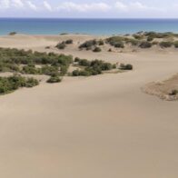 Academia de Ciencias rechaza propuesta de reducción de los límites del Monumento Natural Dunas