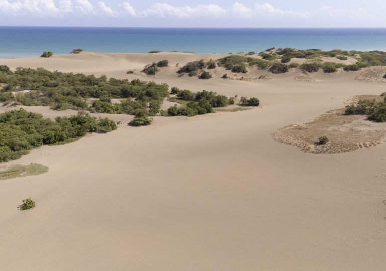 Academia de Ciencias rechaza propuesta de reducción de los límites del Monumento Natural Dunas