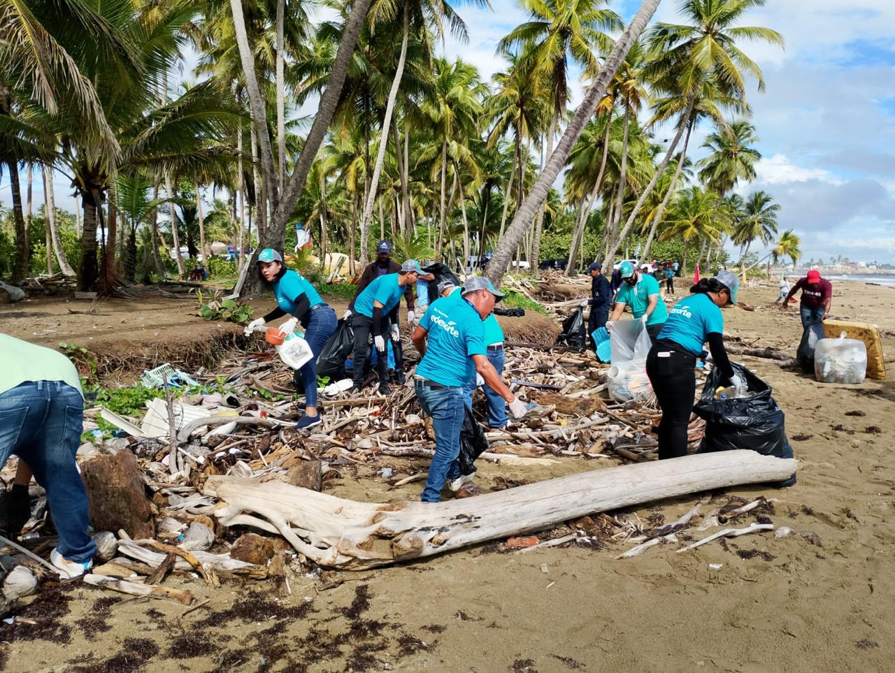 Edenorte recolecta más de 2,600 libras de desechos en jornada de limpieza en Playa Boca de Nagua
